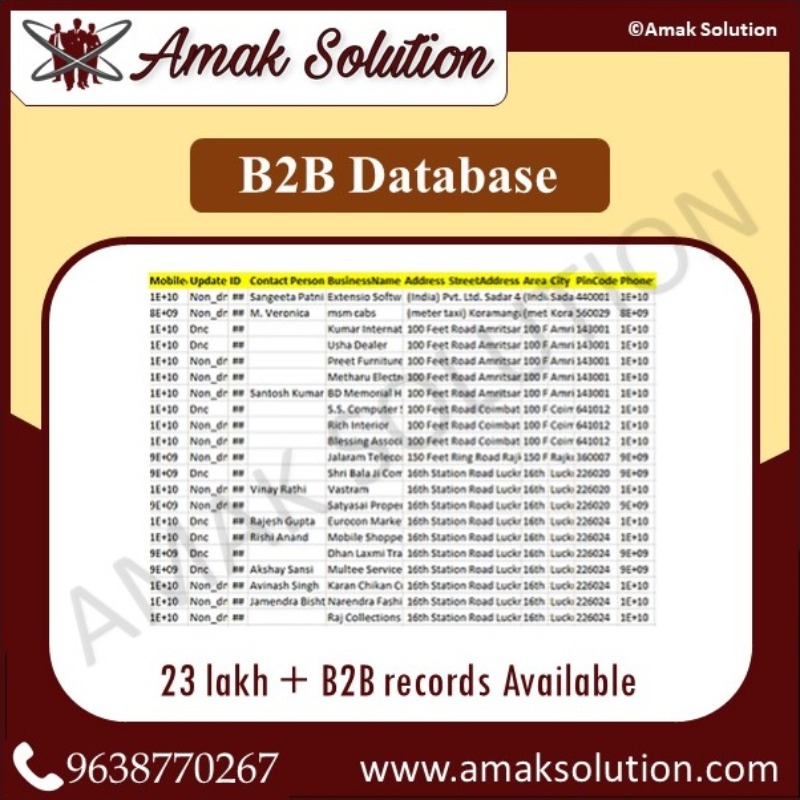 B2B Database